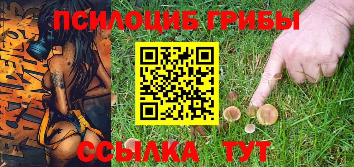 Псилоцибиновые грибы ЛСД Карачаевск