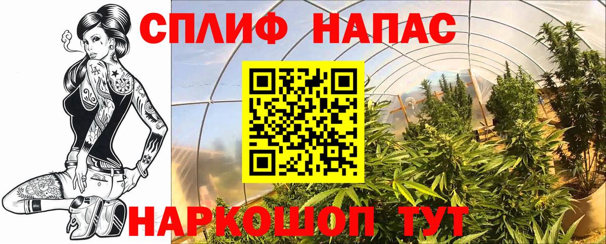 Марихуана White Widow  Вход с VPN  Карачаевск  Конопля семена 