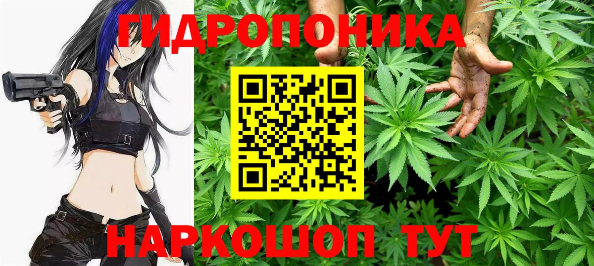 Шишки марихуана White Widow Карачаевск